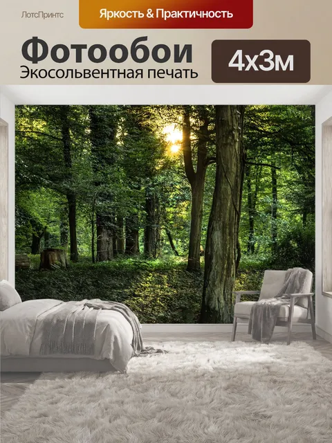 400 × 300 см · Экосольвентная печать
