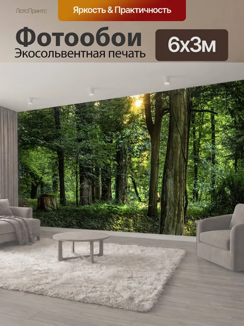 600 × 300 см · Экосольвентная печать