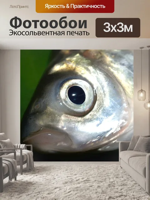 Фотообои Рыбы, карп, еда