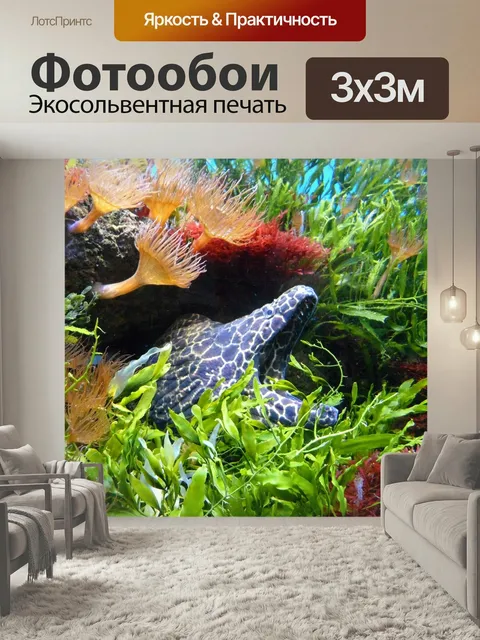 Фотообои Мурена, вода, подводный