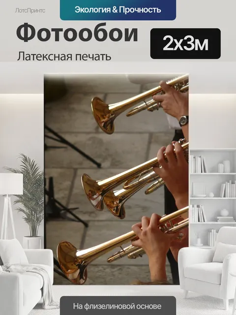 200 × 300 см · Латексная печать