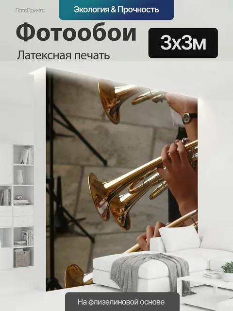 300 × 300 см · Латексная печать