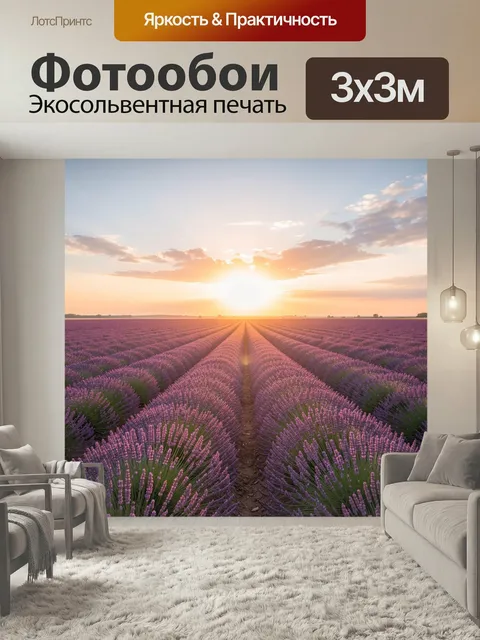 Фотообои Лавандовое поле на закате