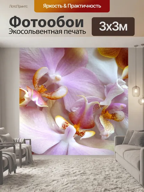 Фотообои Орхидеи, фаленопсис, моль орхидеи