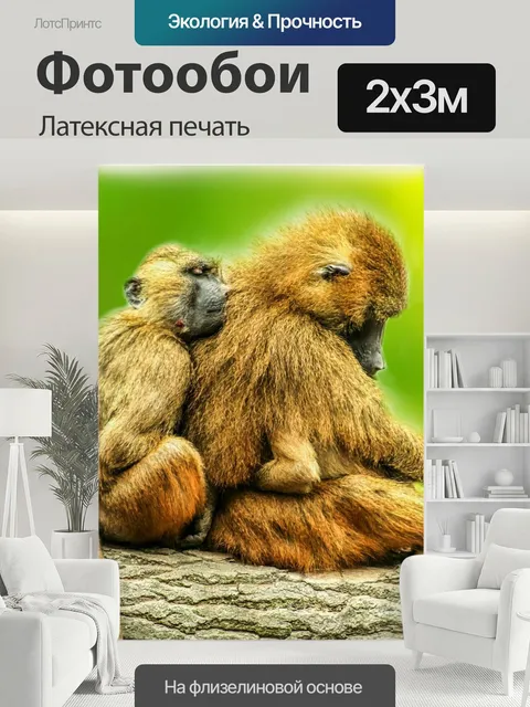 200 × 300 см · Латексная печать