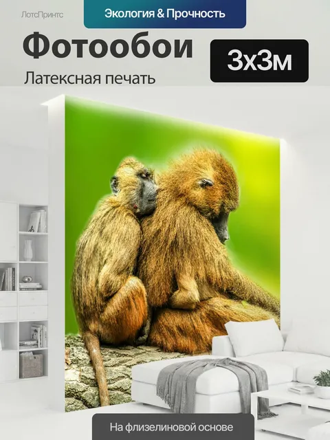 300 × 300 см · Латексная печать