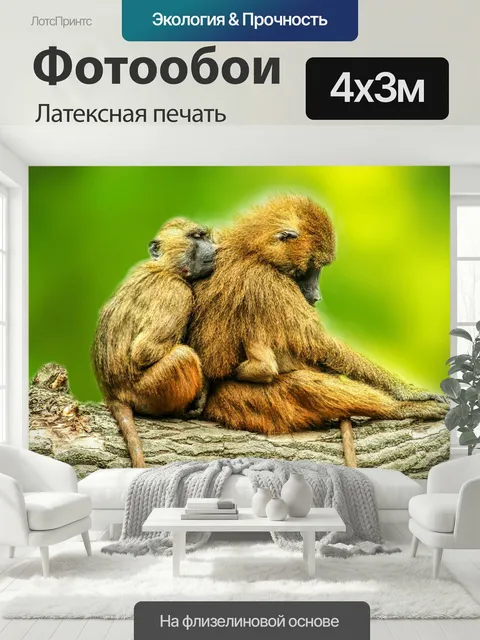 400 × 300 см · Латексная печать