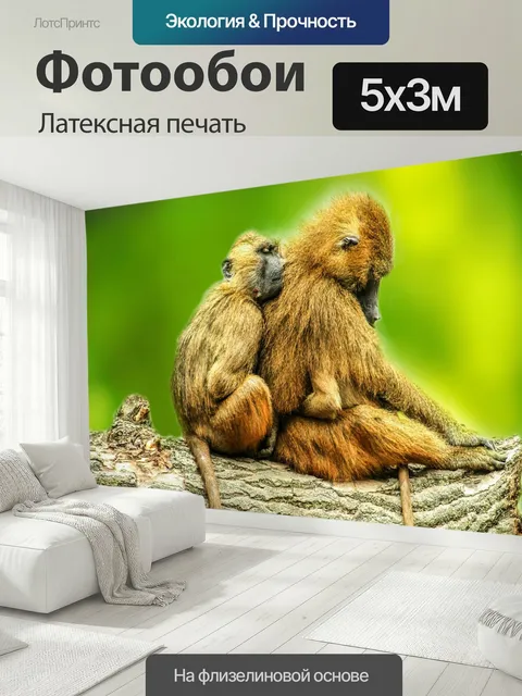 500 × 300 см · Латексная печать