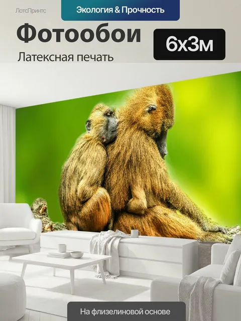 600 × 300 см · Латексная печать