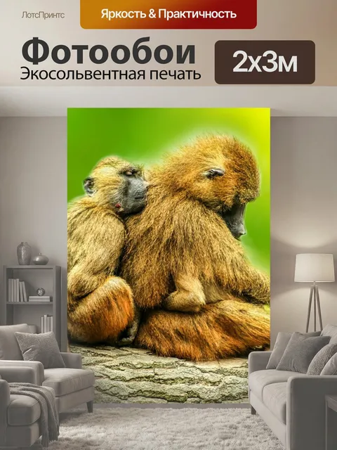 200 × 300 см · Экосольвентная печать