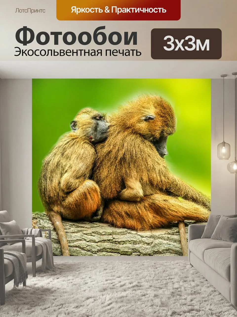 Фотообои Животные, бабуины, браун