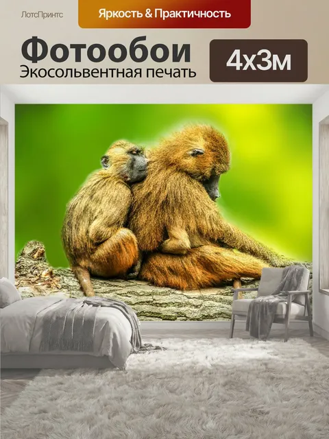 400 × 300 см · Экосольвентная печать