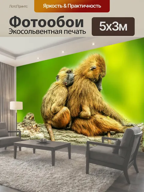 500 × 300 см · Экосольвентная печать