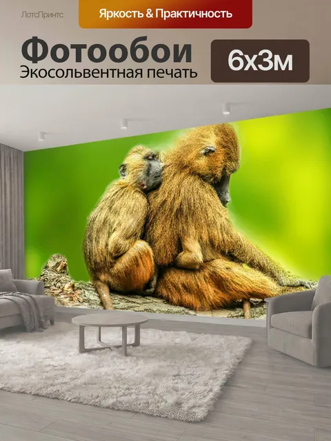 600 × 300 см · Экосольвентная печать