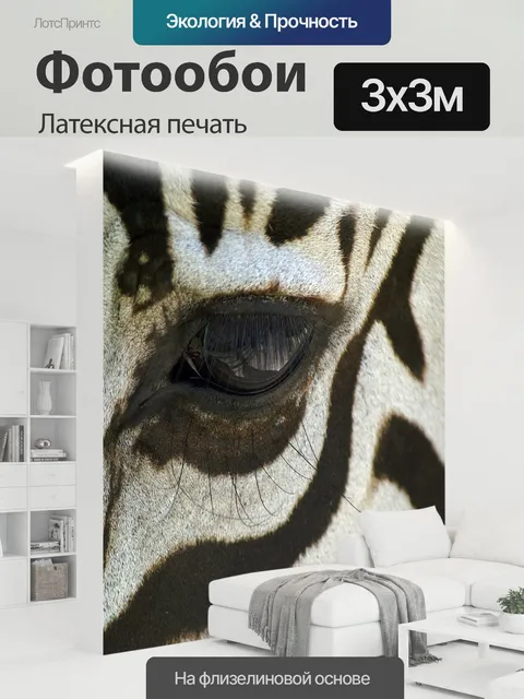300 × 300 см · Латексная печать