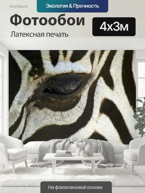 400 × 300 см · Латексная печать