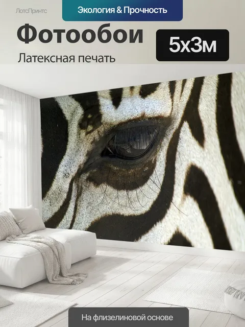 500 × 300 см · Латексная печать
