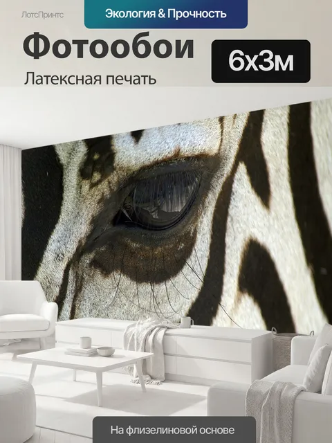 600 × 300 см · Латексная печать