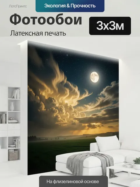 300 × 300 см · Латексная печать