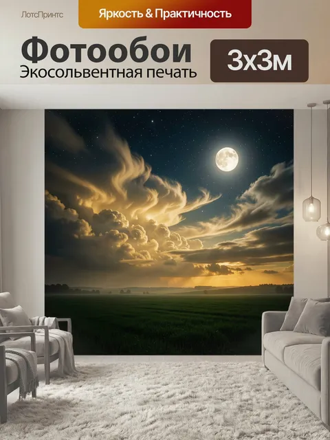 300 × 300 см · Экосольвентная печать