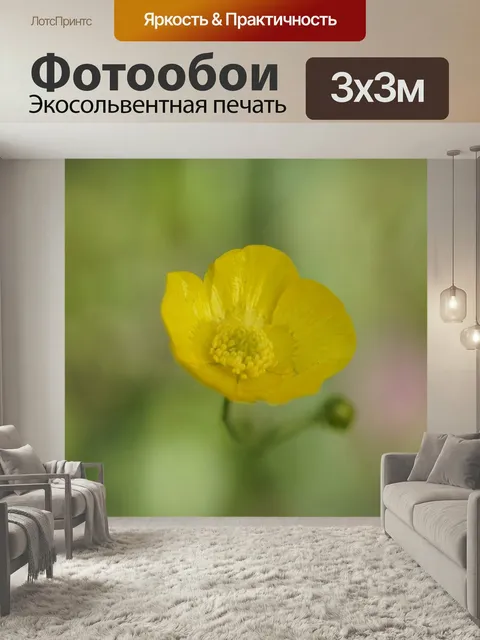 Фотообои Лютик, цвести, острый лютик