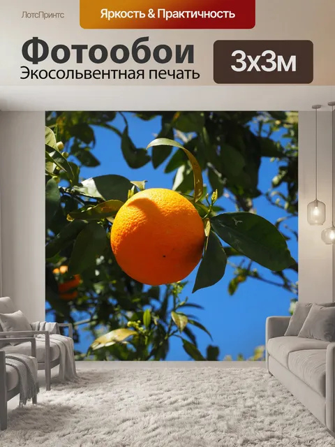 Фотообои Апельсин, фрукты, апельсиновое дерево
