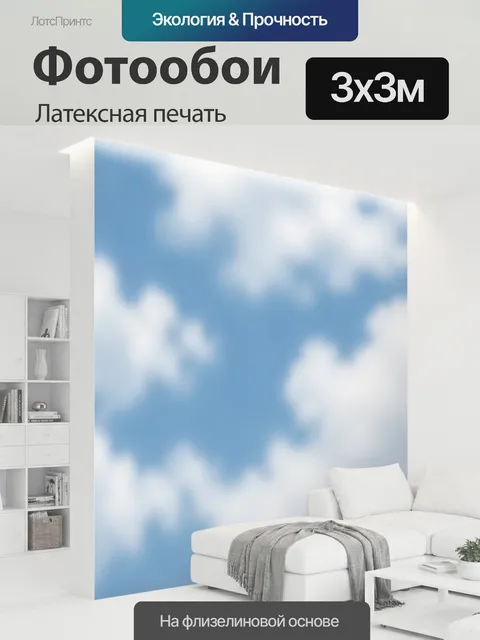 300 × 300 см · Латексная печать
