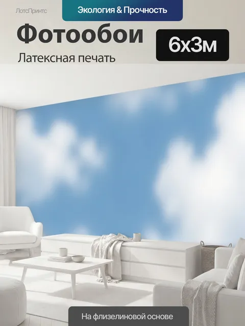 600 × 300 см · Латексная печать