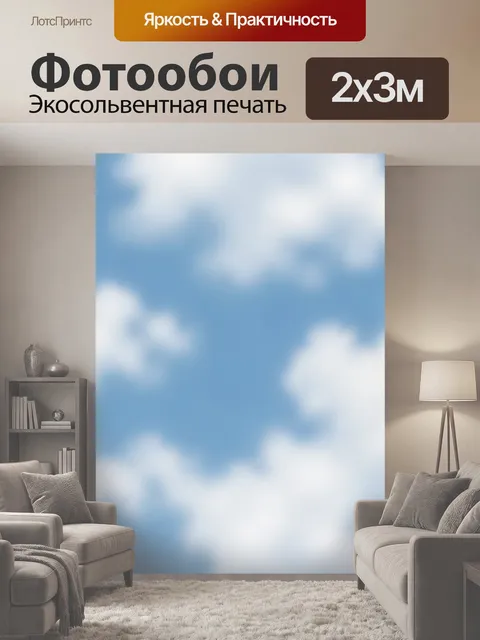 200 × 300 см · Экосольвентная печать
