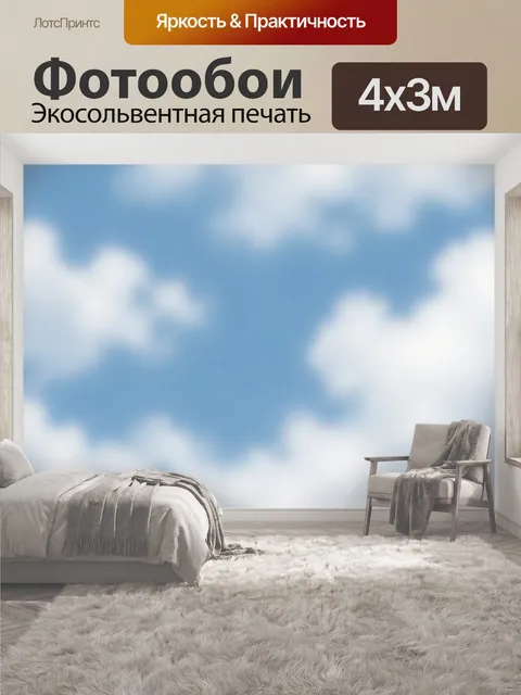 400 × 300 см · Экосольвентная печать