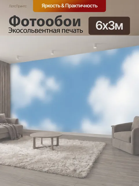 600 × 300 см · Экосольвентная печать