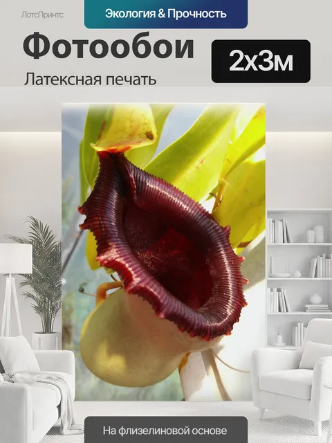 200 × 300 см · Латексная печать