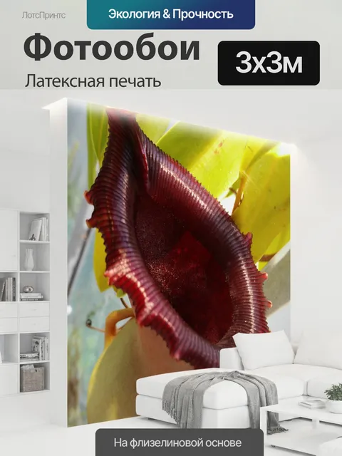 300 × 300 см · Латексная печать