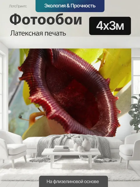 400 × 300 см · Латексная печать