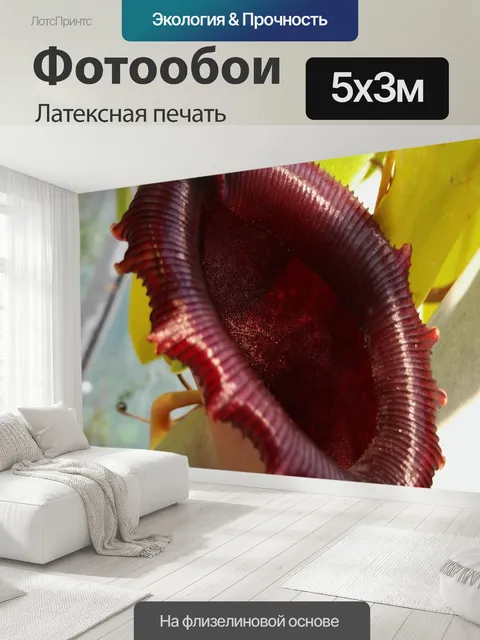 500 × 300 см · Латексная печать