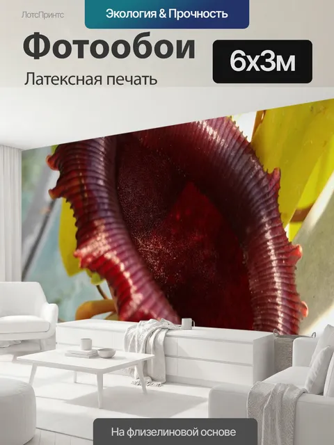 600 × 300 см · Латексная печать