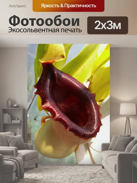 200 × 300 см · Экосольвентная печать