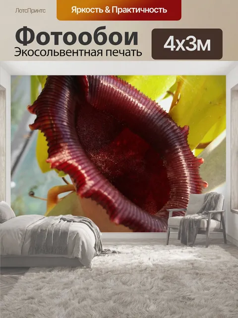 400 × 300 см · Экосольвентная печать