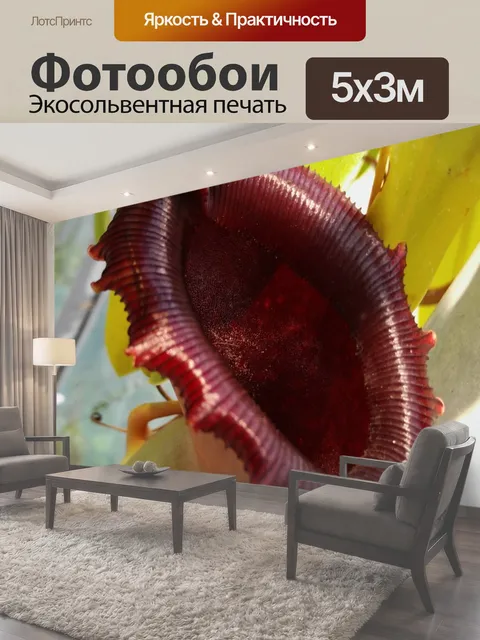 500 × 300 см · Экосольвентная печать