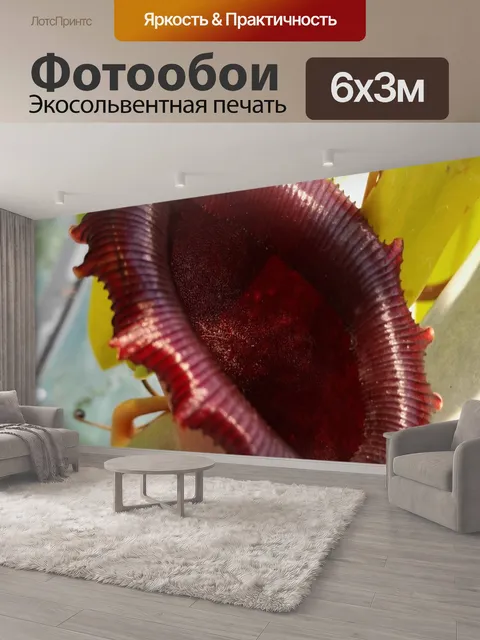 600 × 300 см · Экосольвентная печать