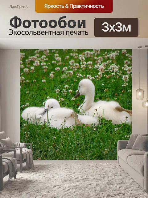Фотообои Лебеди, щенок, птицы