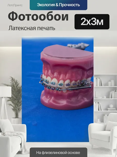 200 × 300 см · Латексная печать