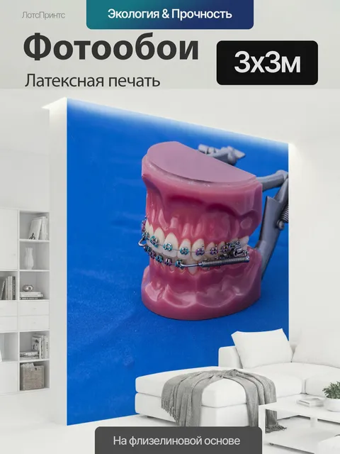 300 × 300 см · Латексная печать
