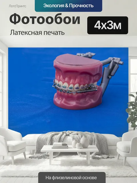 400 × 300 см · Латексная печать