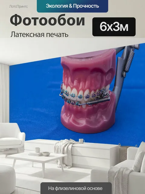 600 × 300 см · Латексная печать