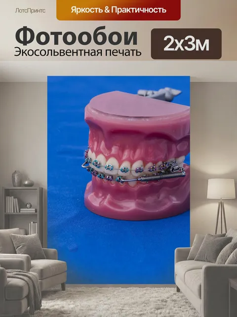 200 × 300 см · Экосольвентная печать