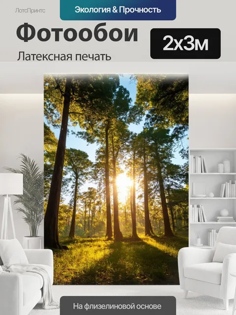200 × 300 см · Латексная печать