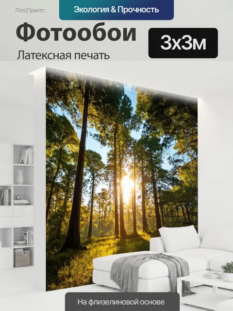 300 × 300 см · Латексная печать