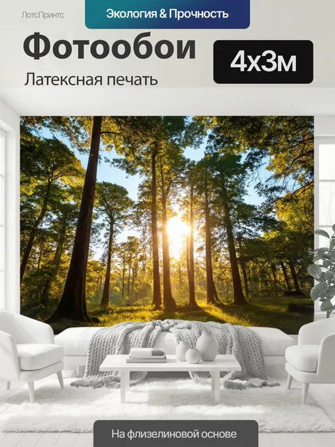 400 × 300 см · Латексная печать