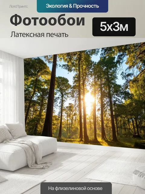 500 × 300 см · Латексная печать